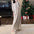 Casual Women's Knitted Cardigan Sweater Skirt Long Skirt Two-Piece Set