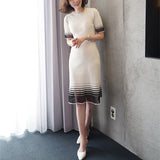 Graceful Mesh Stretch Knitted Dress