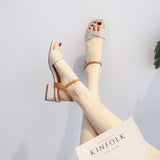 Elegant Chunky Heel Ankle-Strap Roman Shoes