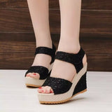 Lace Hollowed Out Wedge Shoes